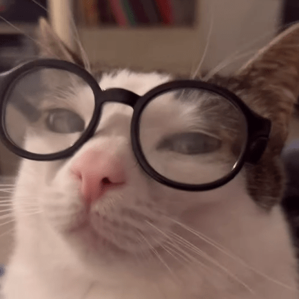 2802aditya Aditya Github