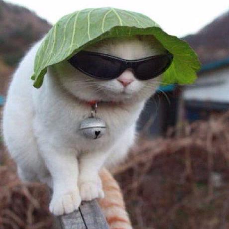 Github Mre Fog Soot Py - Artistic Desktop Ocean Backgrounds | Free Download