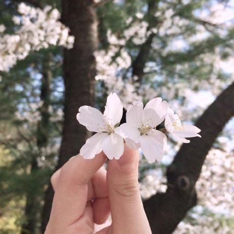 Kagari Tori Github - Best Minimal Designs in High Resolution