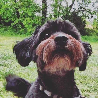 Mauricio Cp Github - Minimal Picture Collection - Full HD Quality