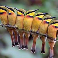 Gabrielfleischer Gabriel Fleischer Github - Best City Illustrations in Ultra HD