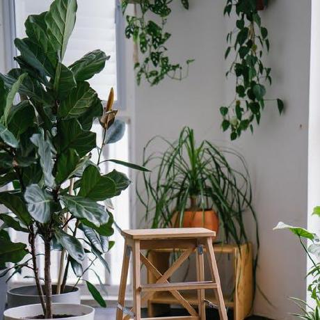 Doluoch David Oluoch Github - Vintage Design Collection - 8K Quality