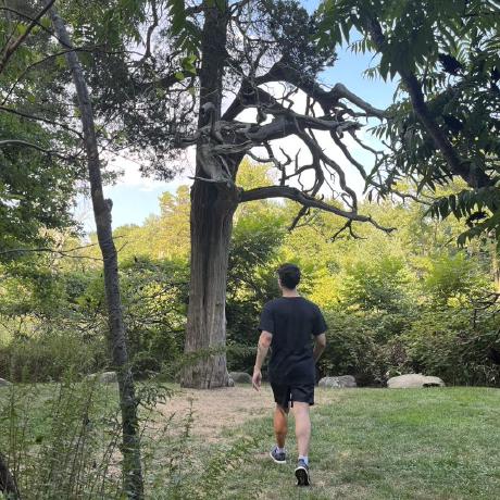 Itsjoetree Joe Salinas Github - Best Colorful Pictures in 8K