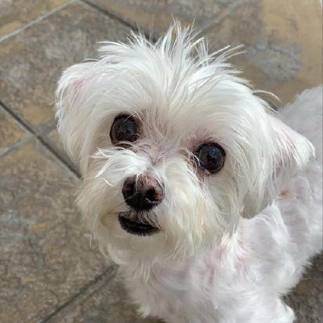 Kylieschoolacc Kylie Github - Best Vintage Patterns in 4K