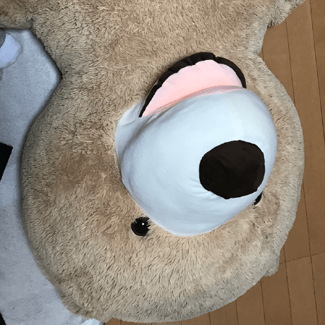 Taiyou Shishido Github - Premium Colorful Art - Retina