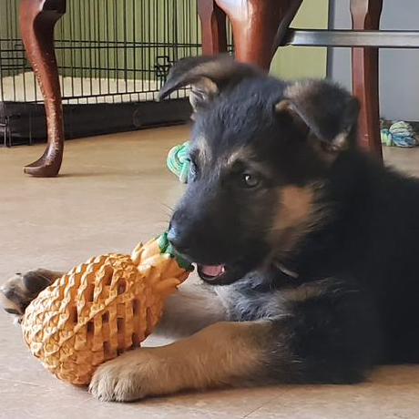 Sarins Info Github - Ocean Photo Collection - 8K Quality