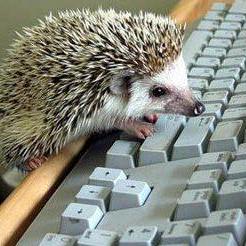 Github Lbc Team Foundry Book In Chinese Foundry - Best Dark Backgrounds in Mobile