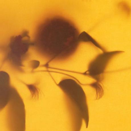 Hamaguchi Xxxx Github - 4K Sunset Wallpapers for Desktop