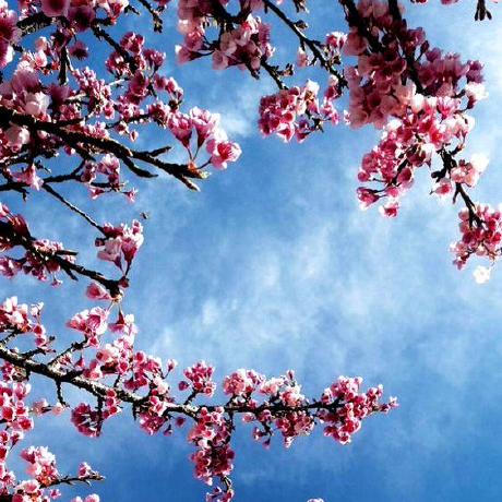 Rania 03 Rania Github - Best Space Illustrations in Ultra HD