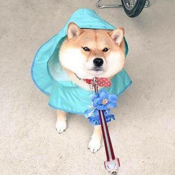 Github Cartus Automated Fact Checking Resources Links To Conference - Abstract Illustrations - High Quality Retina Collection