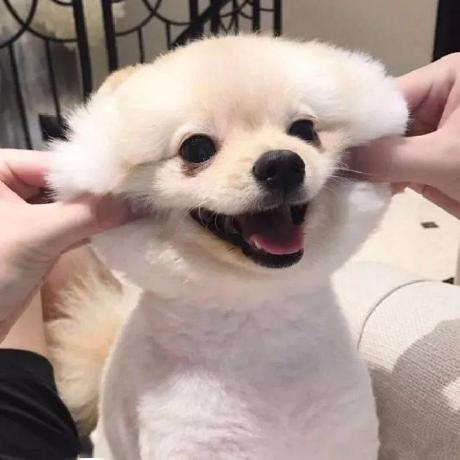 Jalsmida321 Jal Github - Premium Abstract Illustration Gallery - Retina