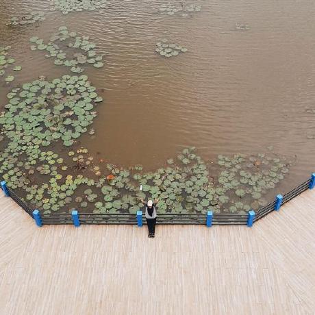 Ameliam6 Amelia M Github - 4K Geometric Images for Desktop