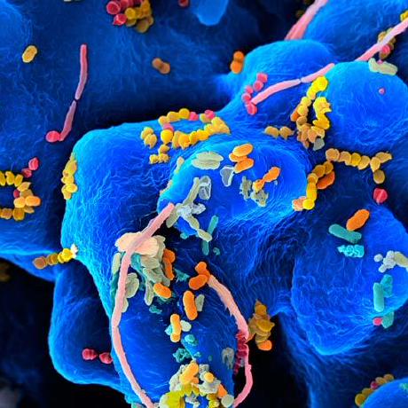 Github Germs Lab Sops - City Patterns - Gorgeous HD Collection