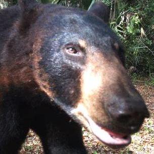 Discord Server Status Minecraft Plugin - 4K Minimal Photos for Desktop