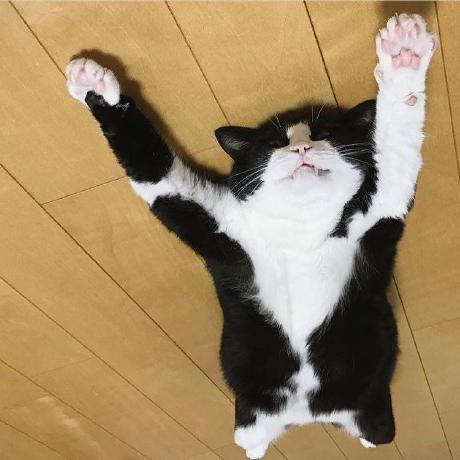 Naughty Monsta Naughty Monsta Github - Classic Space Background - Mobile