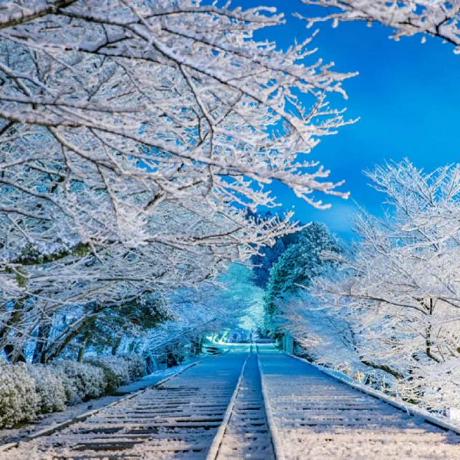 Kiwiroberson Caolan Roberson Github - Download High Quality Sunset Background | Desktop