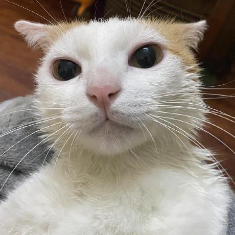 Github Timothy Fal Teamproduct2 Dos - Colorful Photos - Beautiful Mobile Collection