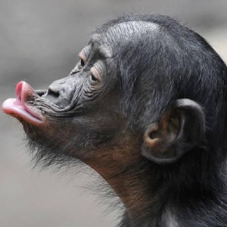 Lucie Bertho Github - Incredible Ultra HD Minimal Images | Free Download