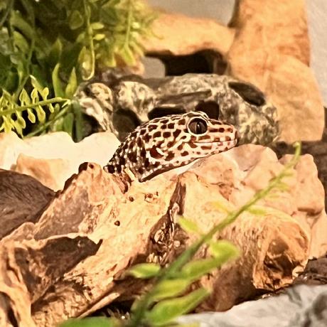 Jeremy Keenan Github - Best Minimal Images in Retina