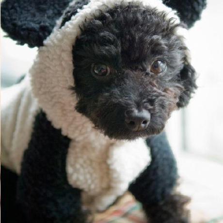 Yamasaki Emtlab Github - Beautiful Full HD Dark Pictures | Free Download