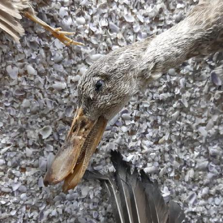 Ahmedkamelali Ahmed Kamel Github - Artistic Mobile Light Pictures | Free Download