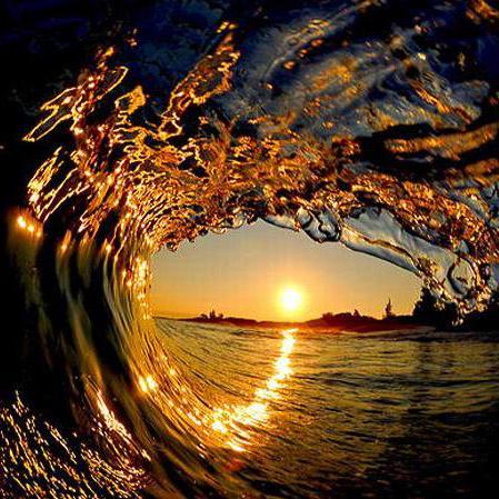 Sumsky21 Jerry Tan Github - Download Premium Gradient Image | 8K