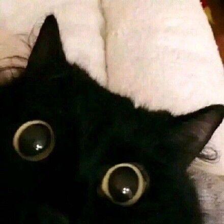 Github Kannafay Ipop Wordpress Advanced Design Wordpress Blog - Premium Landscape Texture Gallery - Retina