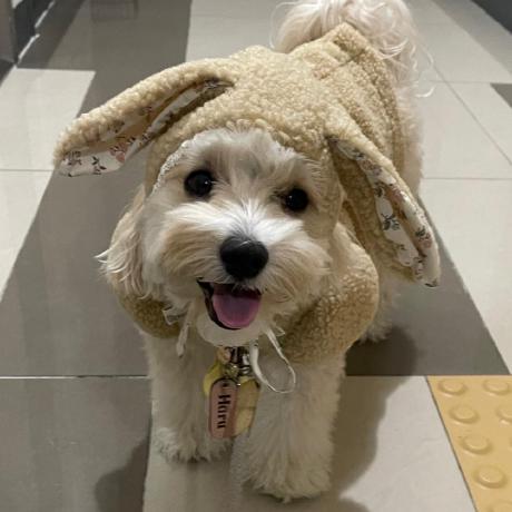 Github Minji Dan Danguide 2022 1 - Download Gorgeous Dark Picture | HD