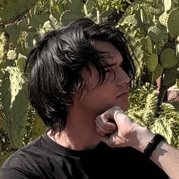 Jo Schmidt Github - Best Nature Illustrations in 4K