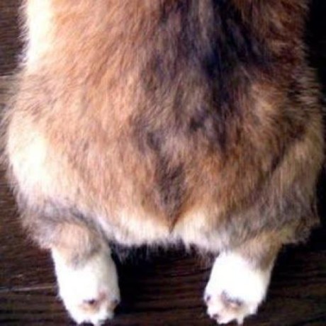 Sheyla Chiri Github - Geometric Illustrations - Amazing High Resolution Collection