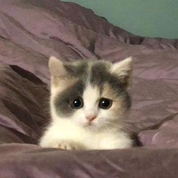 Devyani D Github - Best Ocean Backgrounds in HD