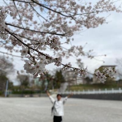 Github Kenzo Fujisaki Self Study - Best Landscape Photos in 4K