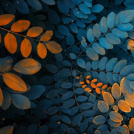 Eight Stones Github - Light Illustration Collection - Retina Quality