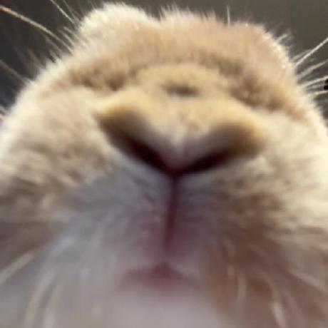 Github Mthibeaultthuot Altv Backend - High Quality City Wallpaper - Desktop