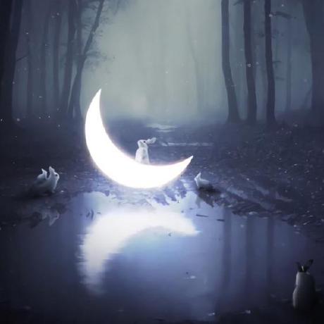 Xi Dream Github - Download Premium Nature Pattern | Ultra HD