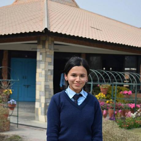 Bhavana Doddi Github - Perfect Mountain Image - 8K