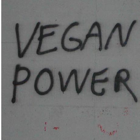 The New Vegan Github - Gradient Backgrounds - Incredible Mobile Collection