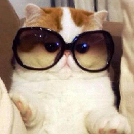 Tony0726 Tony Github - Premium Sunset Wallpaper Gallery - 4K