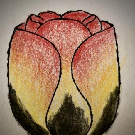 Lydia Yoseph Github - Retina Landscape Illustrations for Desktop