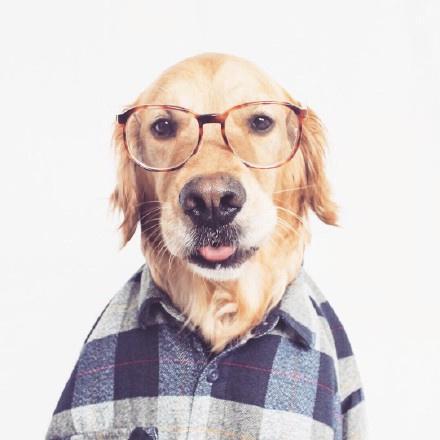 Hansfss Hans Folkesson Github - Nature Design Collection - High Resolution Quality