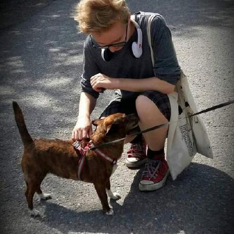 J Nordling Github - High Resolution Sunset Illustrations for Desktop