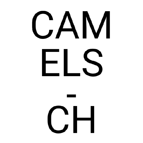 Github Ch Earth Camels Spat - Best Light Images in Desktop