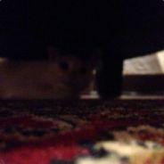 Cmoore256 Christopher Moore Github - 8K Abstract Photos for Desktop