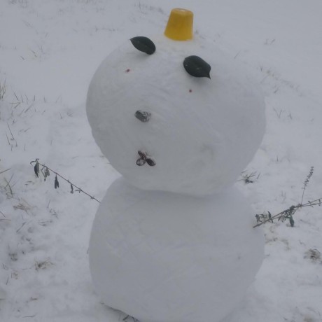 Fumiya Sato Std Fumiya Github - Best Ocean Patterns in Retina