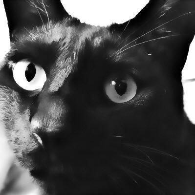 Github Maobushi Gpt Magisystem - Download Beautiful Minimal Background | Desktop