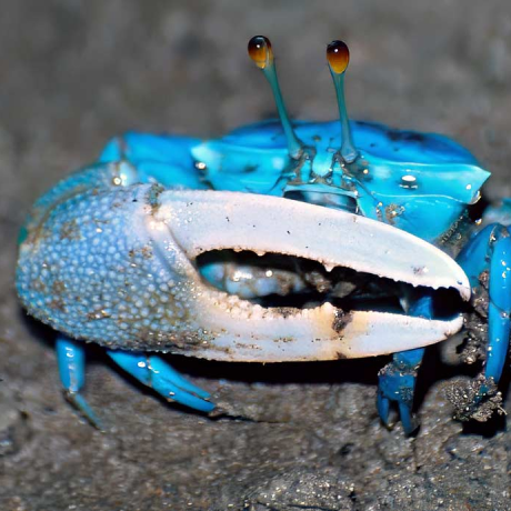 Lwildeman Luke Wildeman Github - Gradient Images - High Quality Mobile Collection