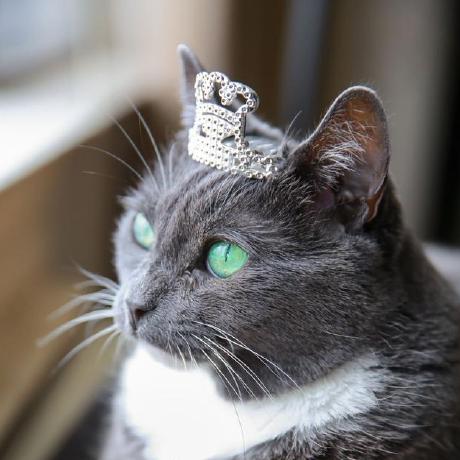 Michaela Moore Michaela Github - Geometric Wallpaper Collection - 8K Quality