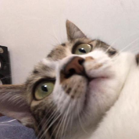 Shiuns Github - Perfect Ocean Image - 4K