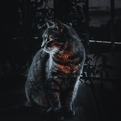 Iamdavidev David Lezama Github - Download Elegant City Art | Mobile