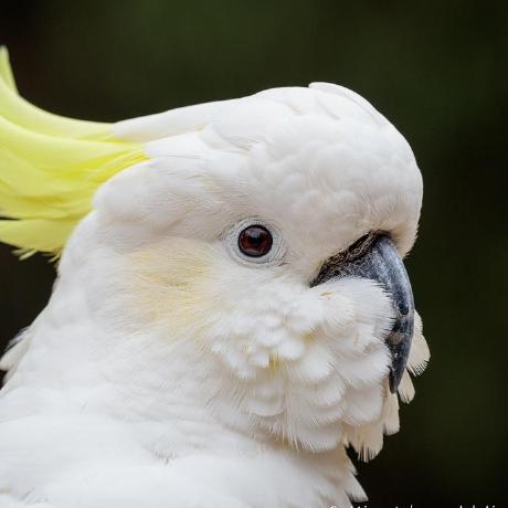 Github Minieval Bone Physics - Minimal Wallpaper Collection - Desktop Quality